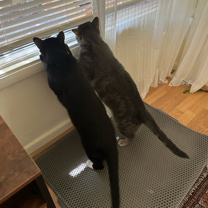 Loving Care When You're Not There