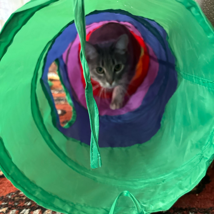 Loving Care When You're Not There