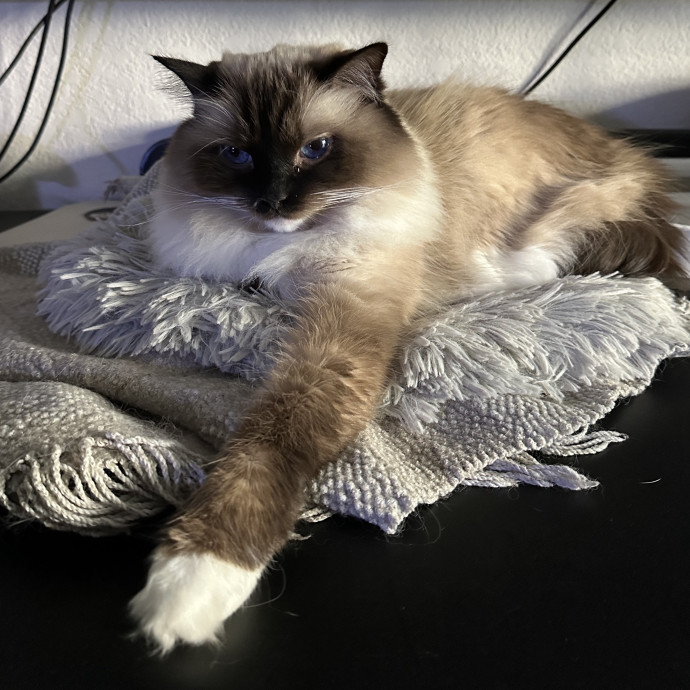 Loving Care When You're Not There