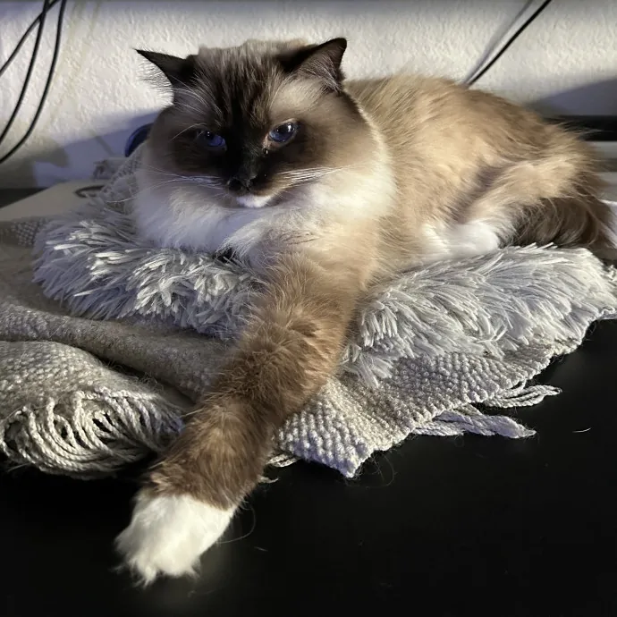 Loving Care When You're Not There