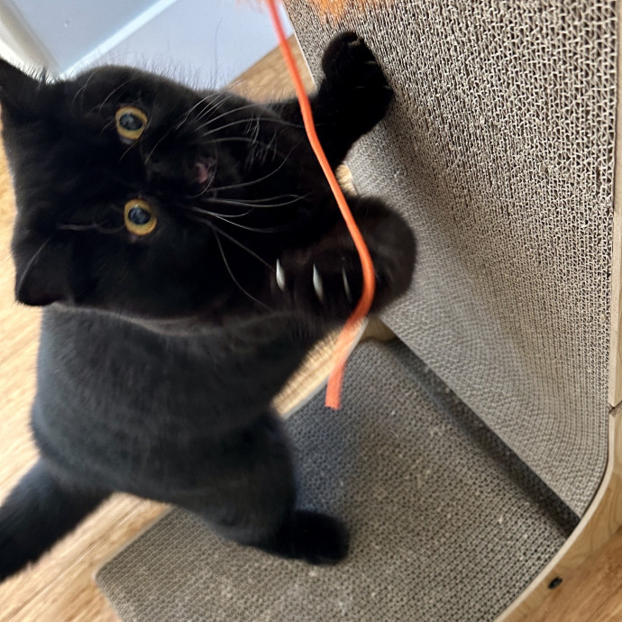 Loving Care When You're Not There