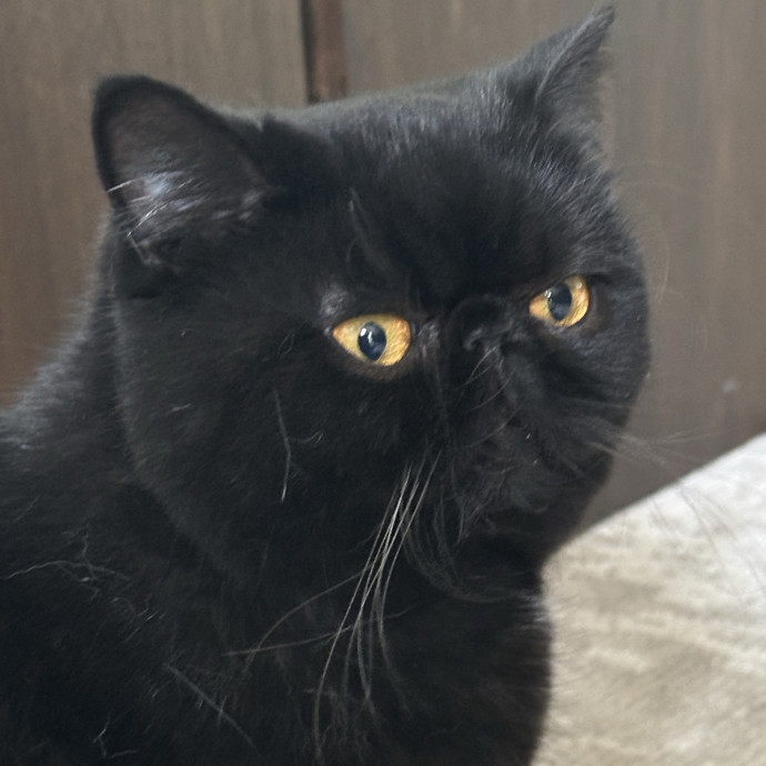 Loving Care When You're Not There photo 2