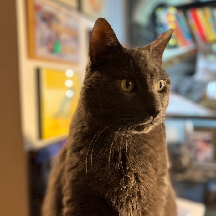 Fur-Real Cat Care