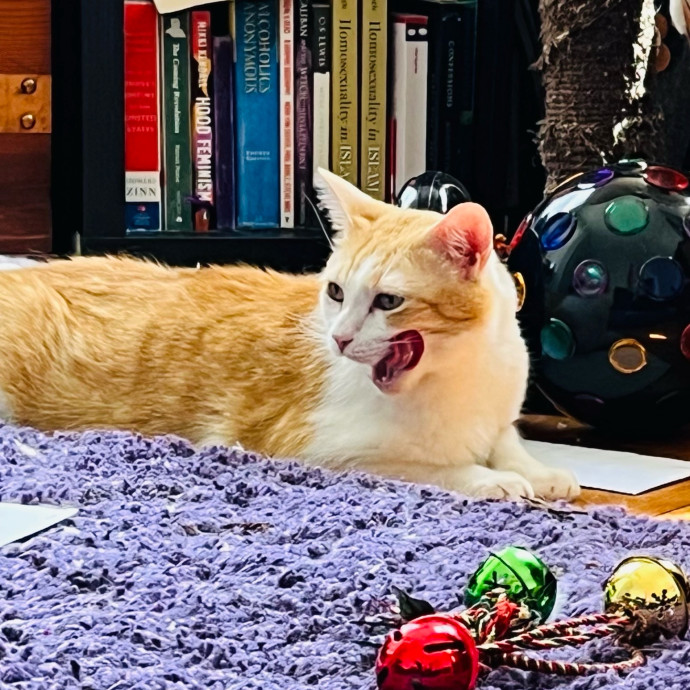 Fur-Real Cat Care