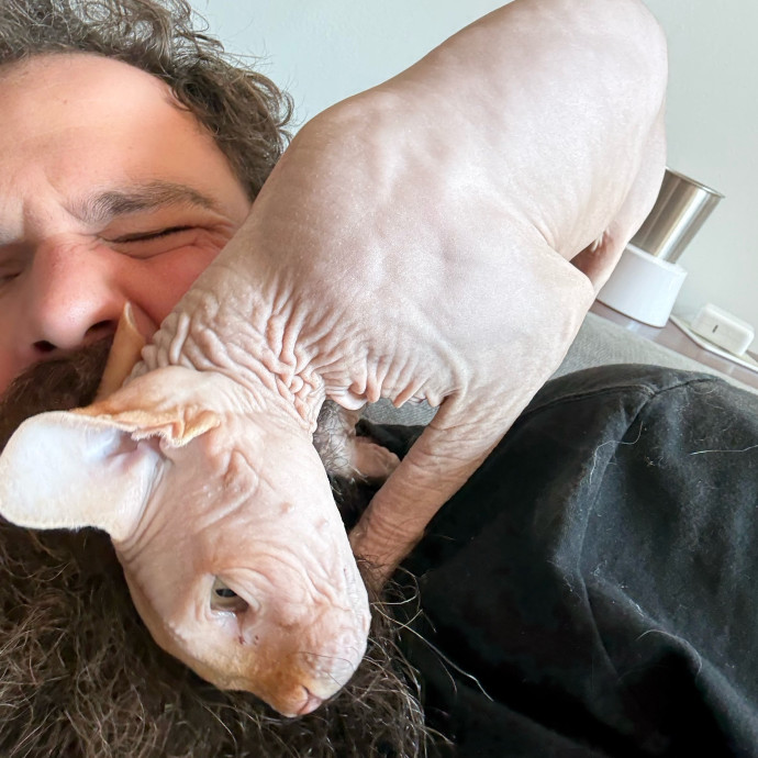 Fur-Real Cat Care