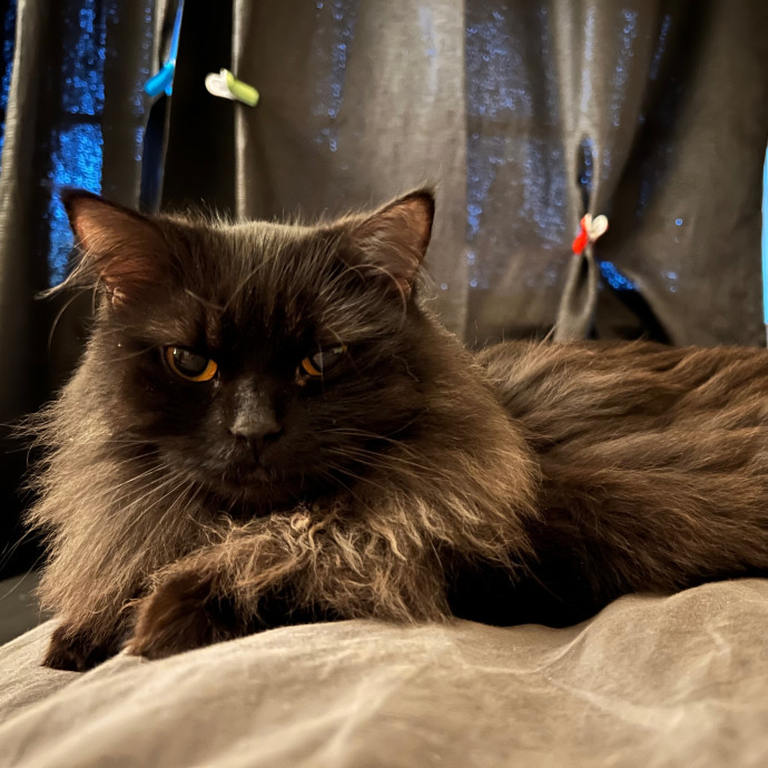 Patrick Catrick photo 3