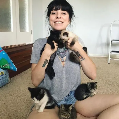 Megans Meow Worthy Care