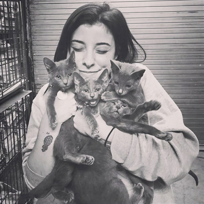 Megans Meow Worthy Care