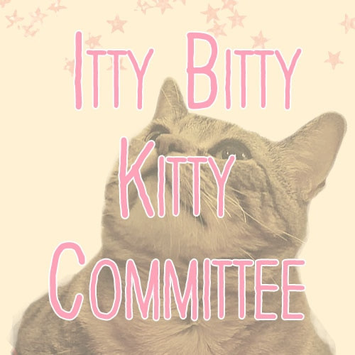 Itty Bitty Kitty Committee - Cat Care