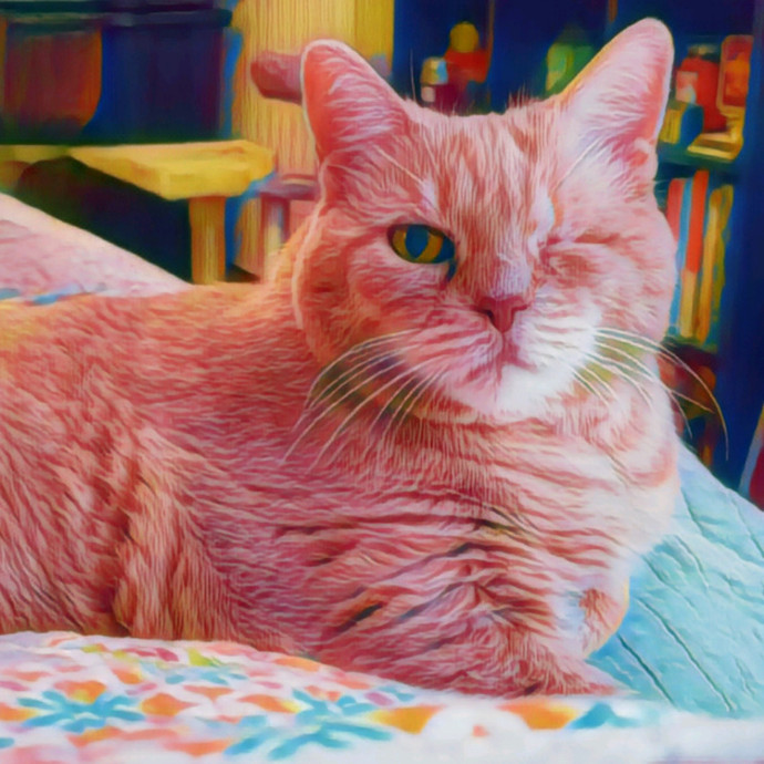 Amazing Cat Care By Angela