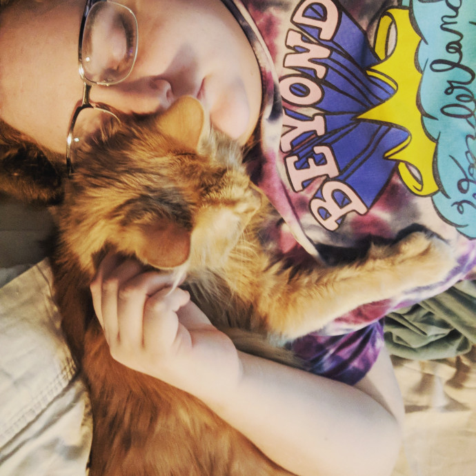 Comforted Kitties