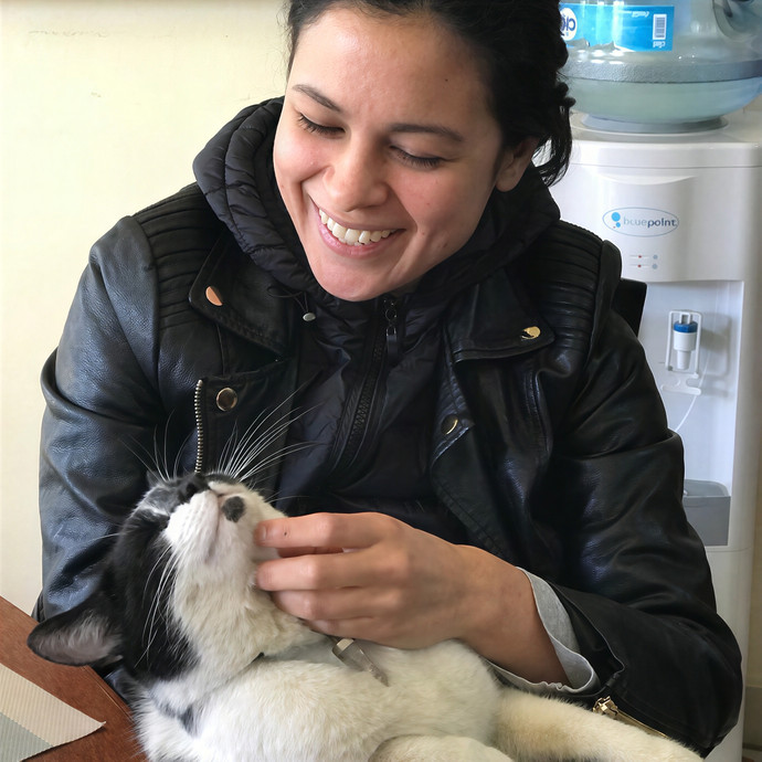 Patricia's Furry Fiesta Cat Sitting