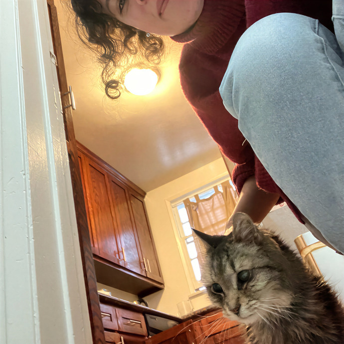 Patricia's Furry Fiesta Cat Sitting