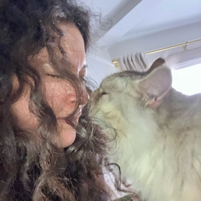 Patricia's Furry Fiesta Cat Sitting