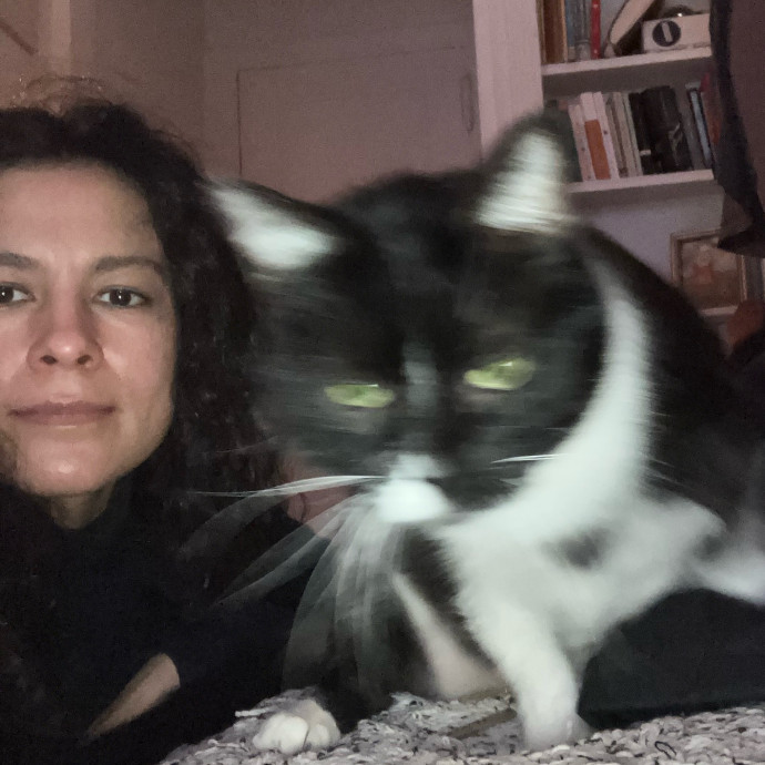 Patricia's Furry Fiesta Cat Sitting