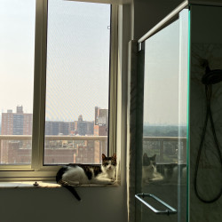 Photo #3