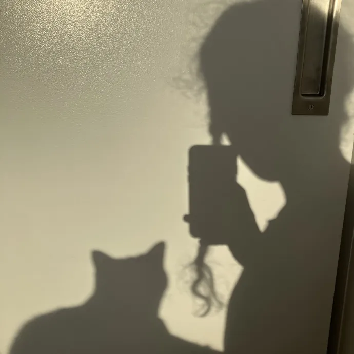 Patricia's Furry Fiesta Cat Sitting