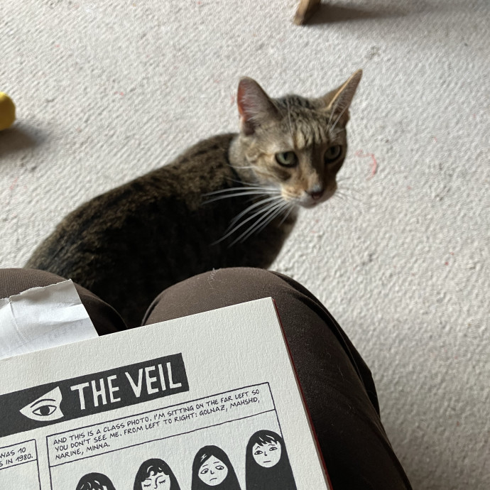 Patricia's Furry Fiesta Cat Sitting