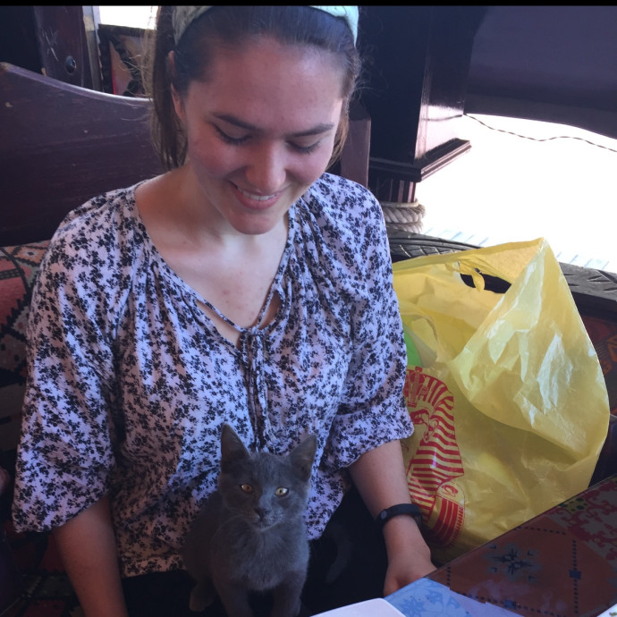 Attentive Cat Care In Sf Bay Area photo 2