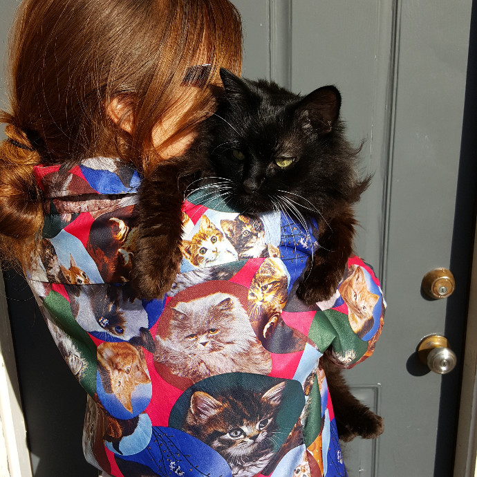 Michelle The Cat Whisperer