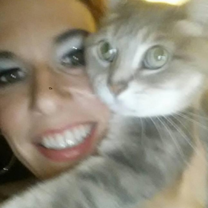 Profession  Cat Loving Caregiver