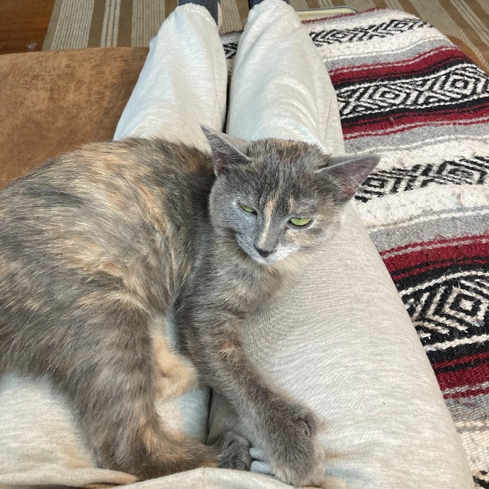 Cat Lady Lucy