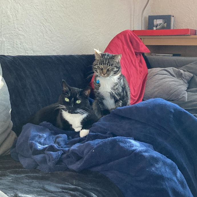 Cat Lady Lucy