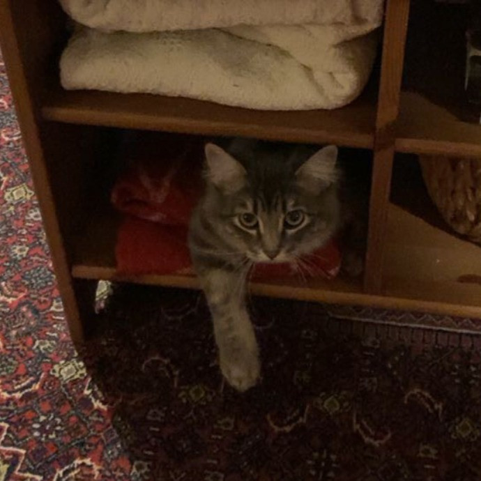 Cat Lady Lucy photo 3