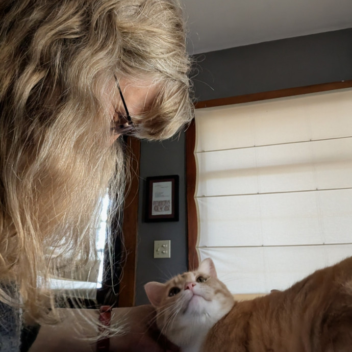 Allison's House Cat Sitting
