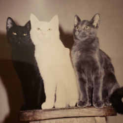 Photo #2 Photo #2
