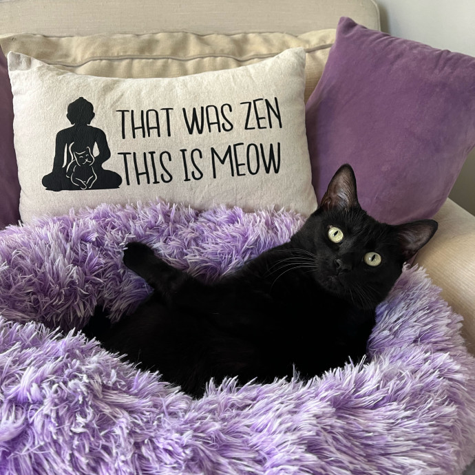Pawsitively Purrfect Cat Sitting