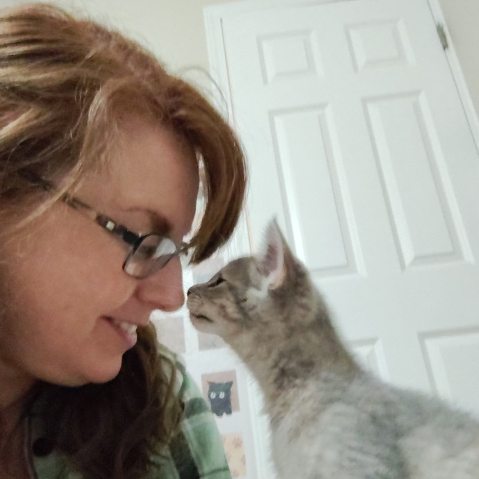 Cuddle Puddle Cat Sitting photo 3