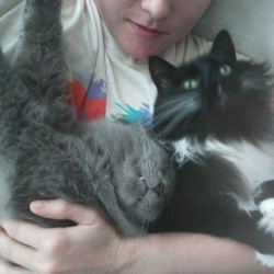 Photo #2