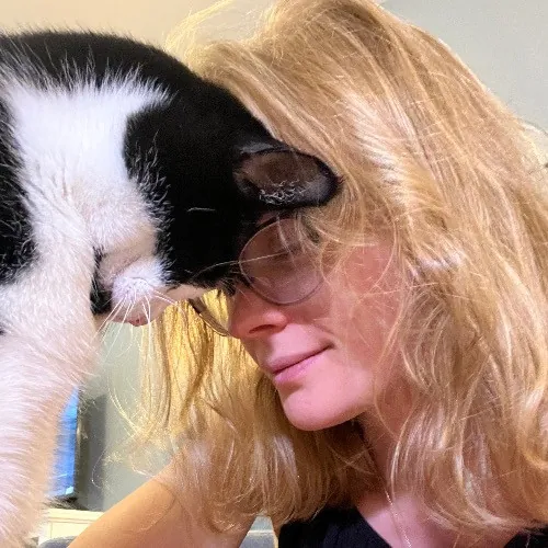 Kristen's Purrfect Cat-Sitting