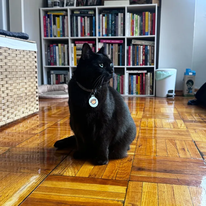 Nichelle's Purrfect Kitty Care