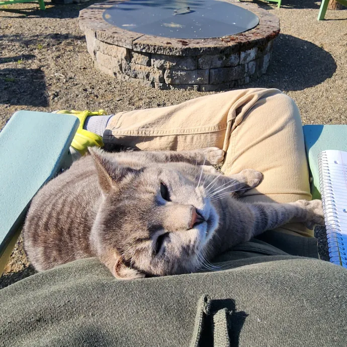 Don't Worry - Cat Happy photo 3