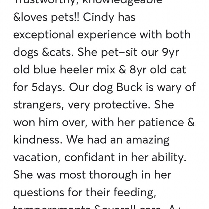 I Will Love Your Kitties Like My Own
