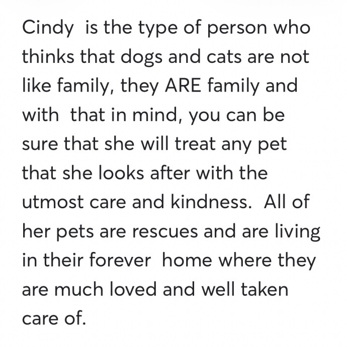 I Will Love Your Kitties Like My Own photo 3