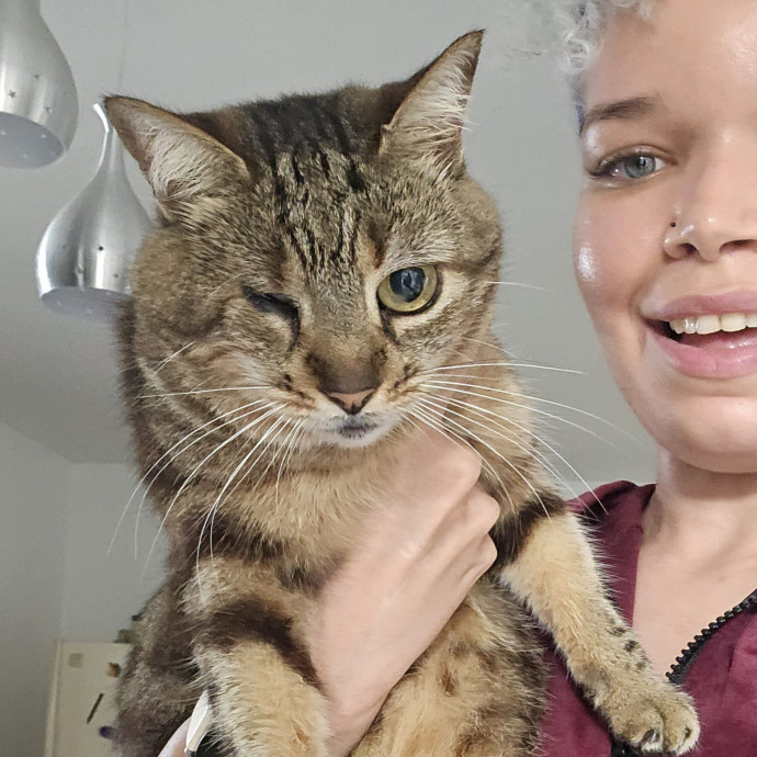 Ylen Pet Care