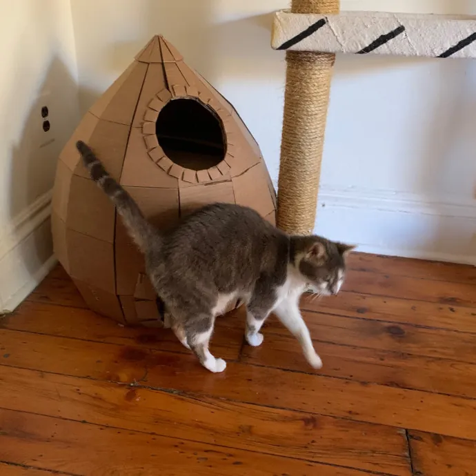 Lara's Purrfect Care