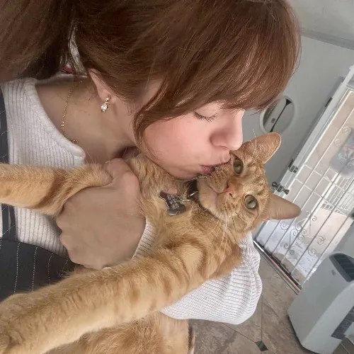 Naf's Purrfect Pals Cat Sitting