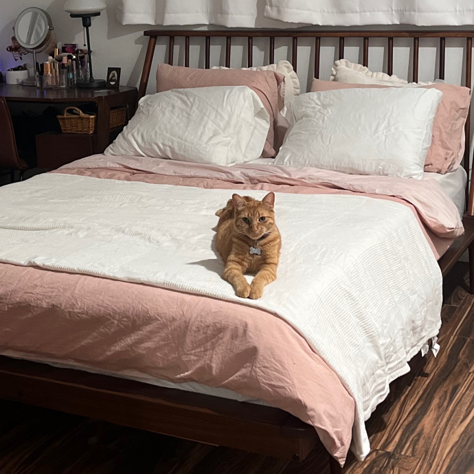 Naf's Purrfect Pals Cat Sitting