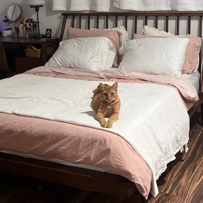 Naf's Purrfect Pals Cat Sitting