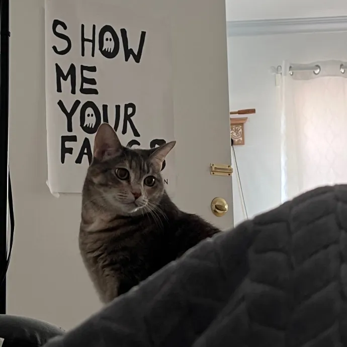 Naf's Purrfect Pals Cat Sitting