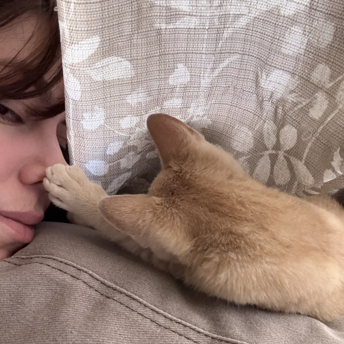 Naf's Purrfect Pals Cat Sitting