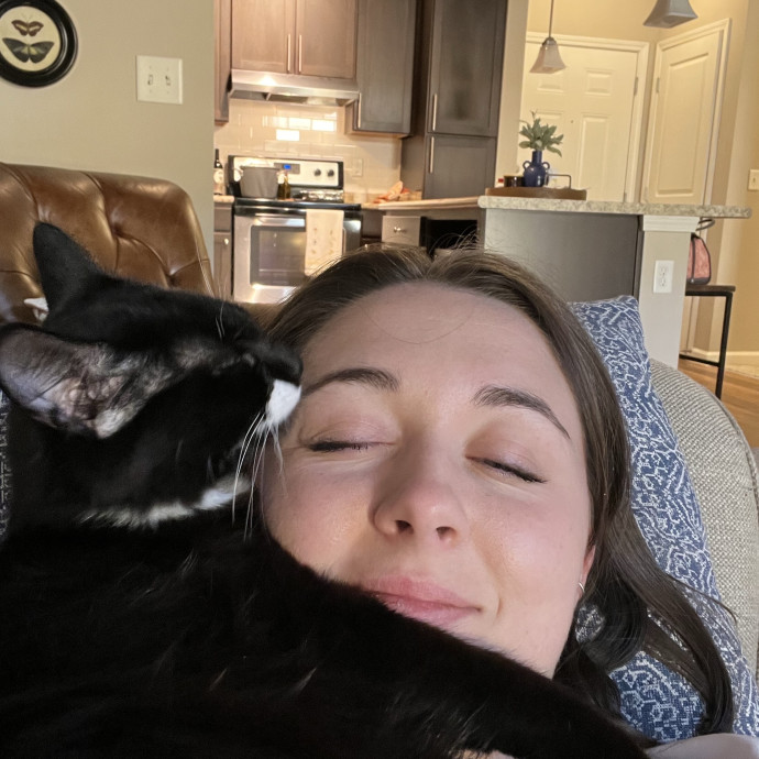 Your Purr-Fect Cat Sitter