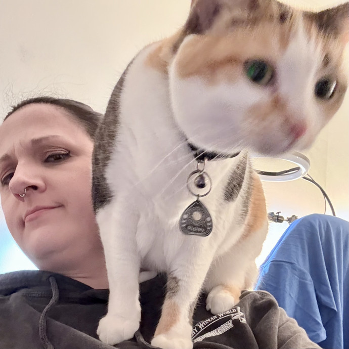 Loving Calico  Tuxedo Cat Mom