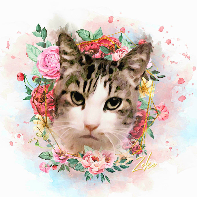 Kimber's Cat Care photo 3