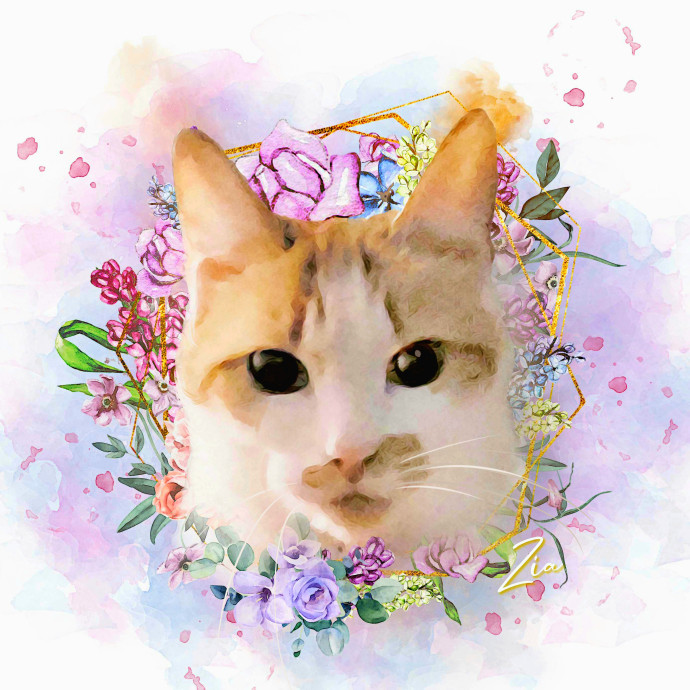 Kimber's Cat Care photo 2