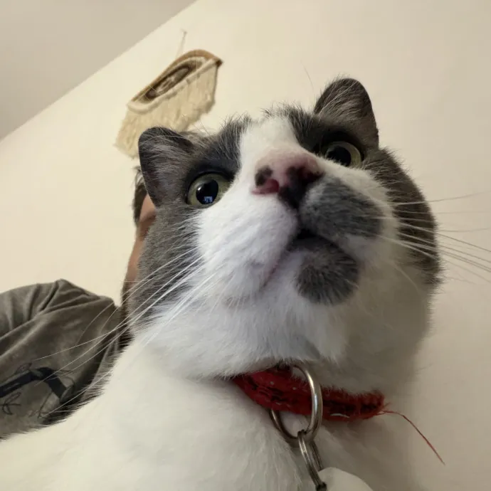 Axel T.